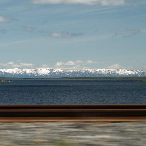 Photo #11559992