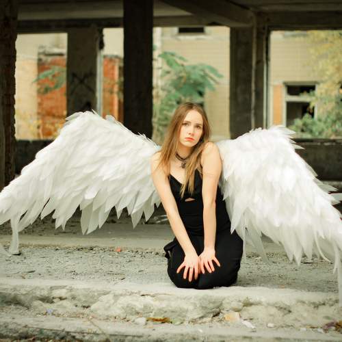 Photo #11560249