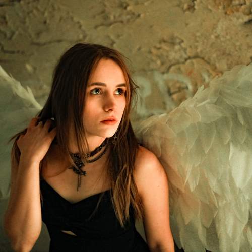 Photo #11560254