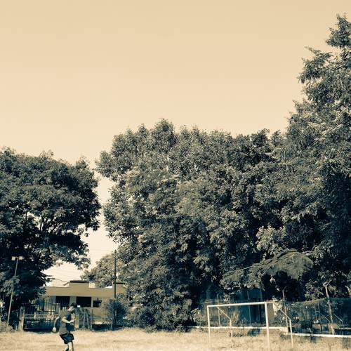 Photo #11560632