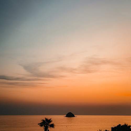 Photo #11561036