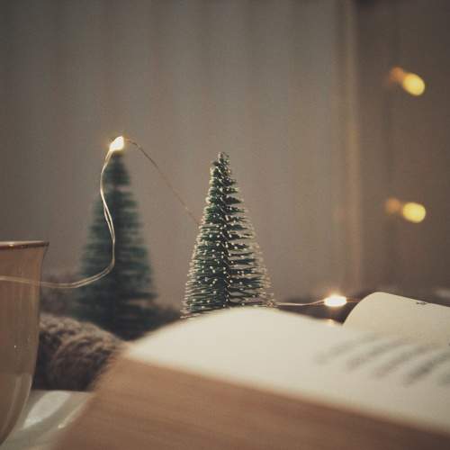 Photo #11561043