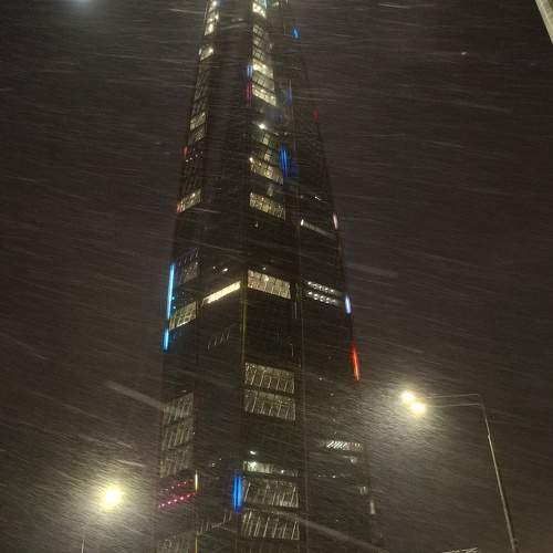 Photo #11562086