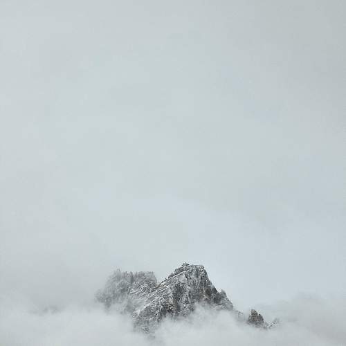 Photo #11562146