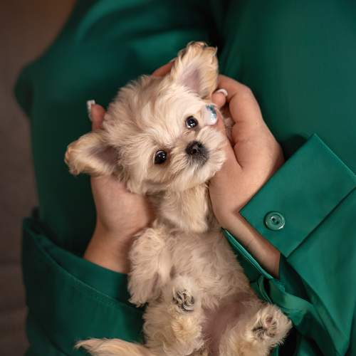 Photo #11562303