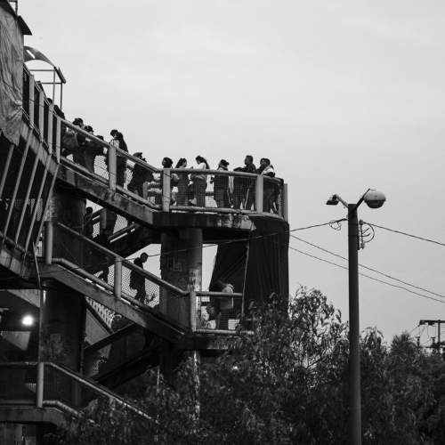 Photo #11562857