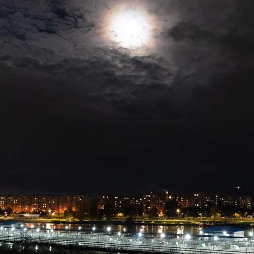 Photo #11562952