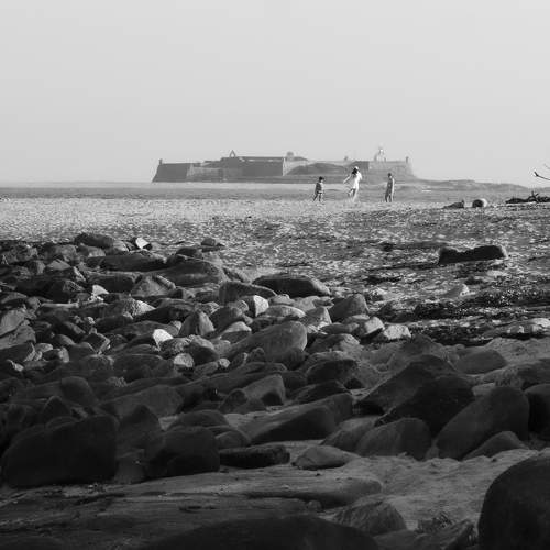 Photo #11563451
