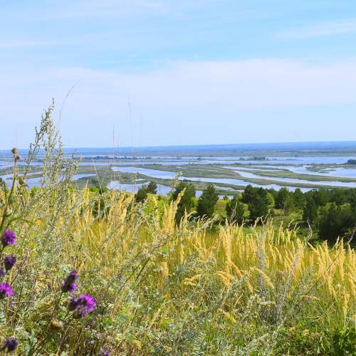 Photo #11563709