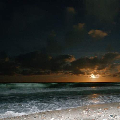 Photo #11563743
