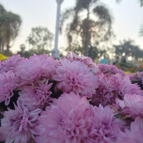 Photo #11564129
