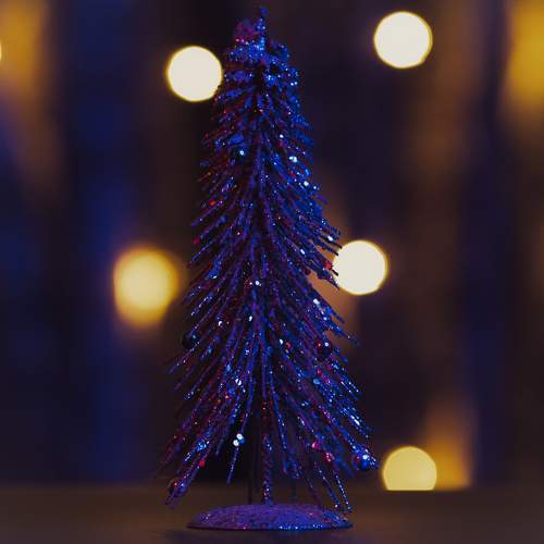 Photo #11564289