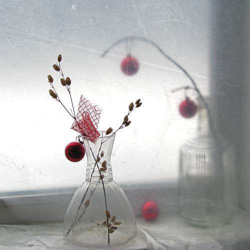 Photo #11564805