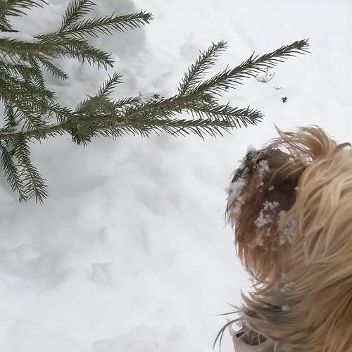 Photo #11564894