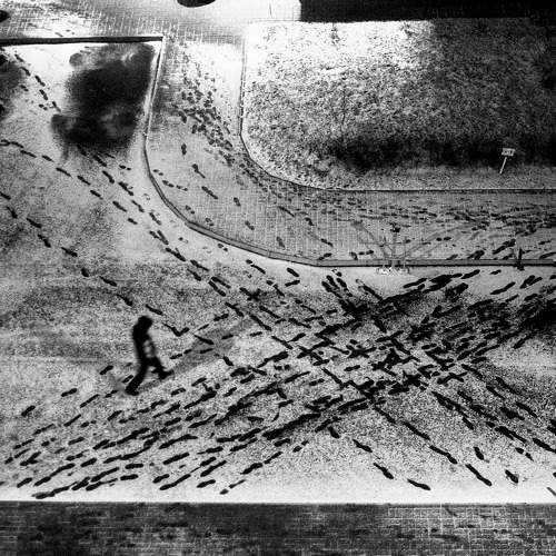 Photo #11565367
