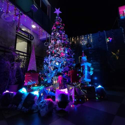 Photo #11565834