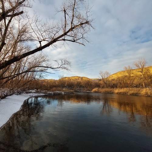 Photo #11565994