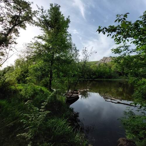 Photo #11565995
