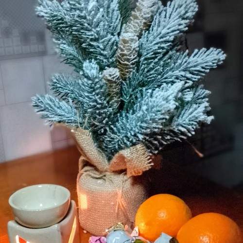 Photo #11566033