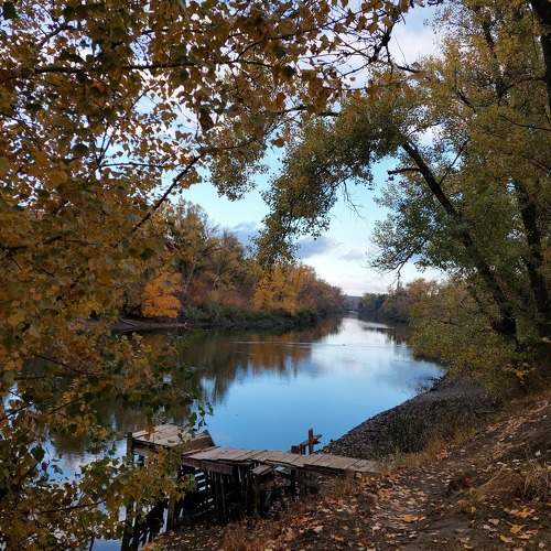 Photo #11566050
