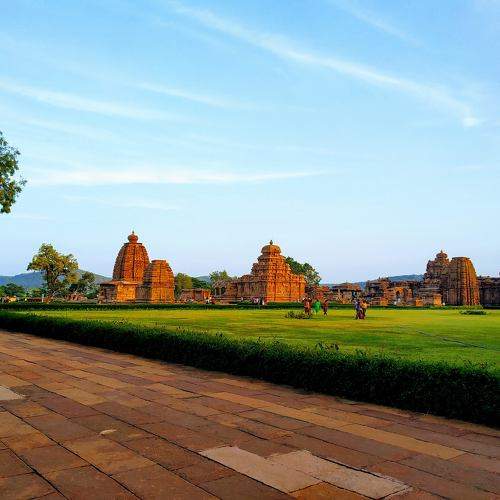 Photo #11566088