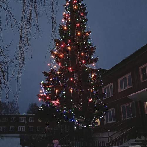 Photo #11566583
