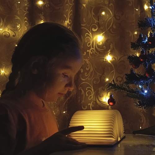 Photo #11566584
