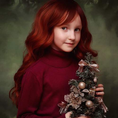 Photo #11566611