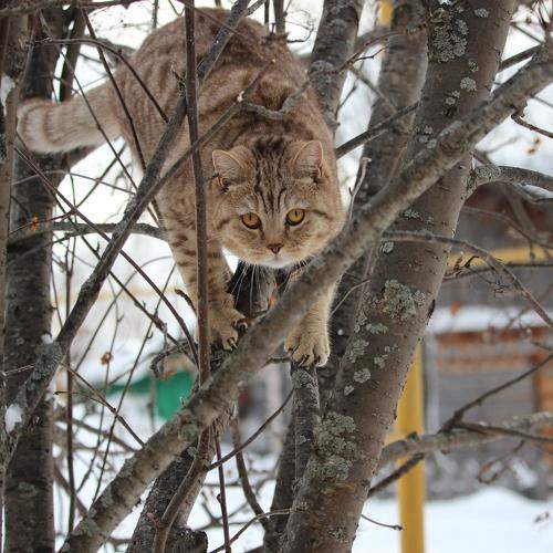 Photo #11566846
