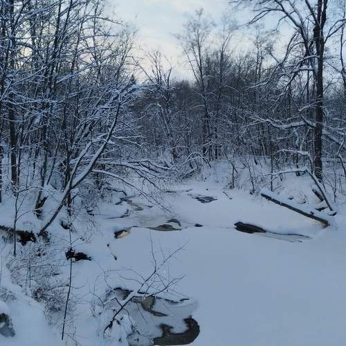 Photo #11566930