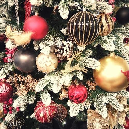 Photo #11567232