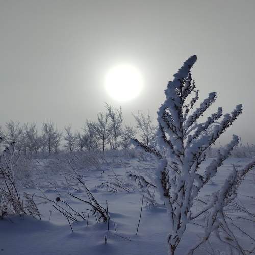 Photo #11567527
