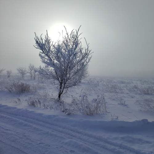 Photo #11567528