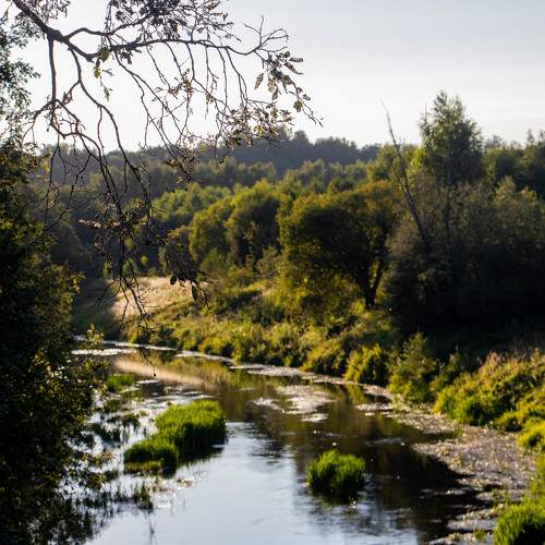 Photo #11567832