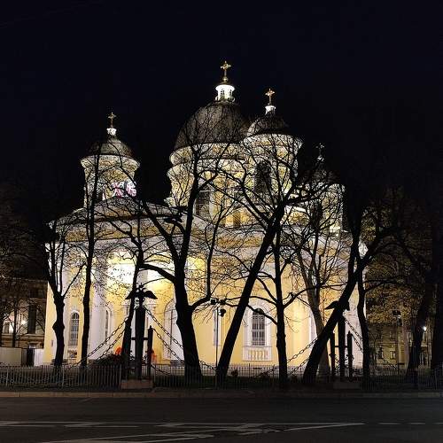 Photo #11568465