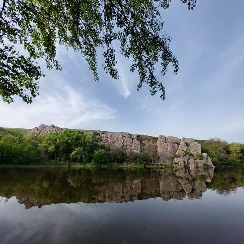 Photo #11568495