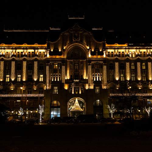 Photo #11568753