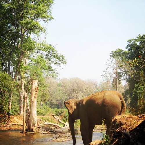 Photo #11568893