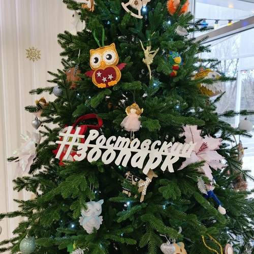 Photo #11568957