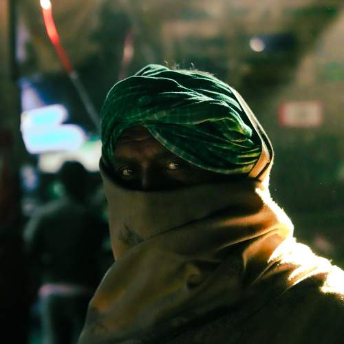 Photo #11569417