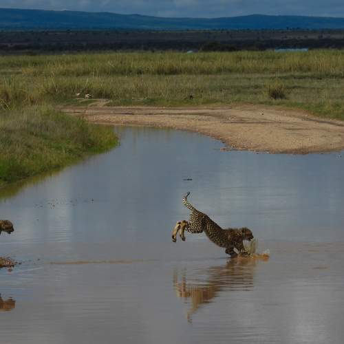 Photo #11569692