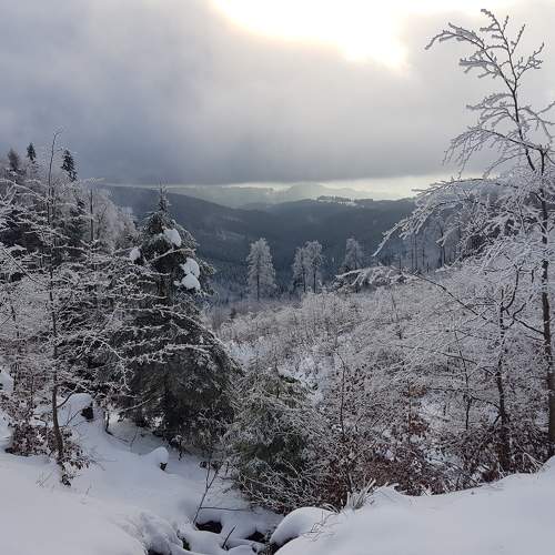 Photo #11569796