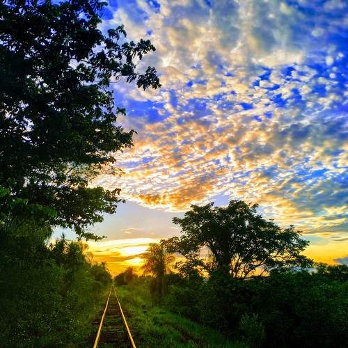 Photo #11569826