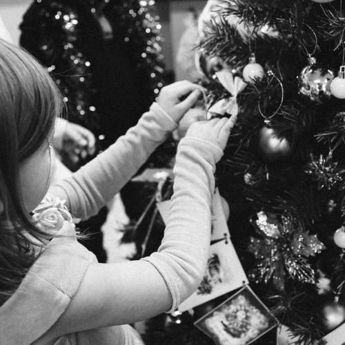 Photo #11570083
