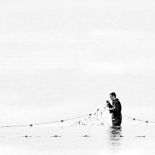 Photo #11570459