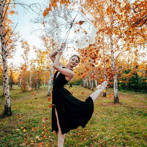 Photo #11570520