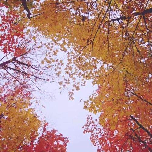 Photo #11570601
