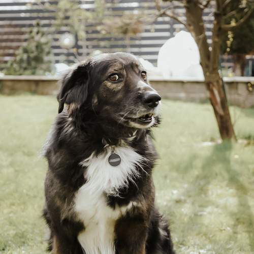 Photo #11571427