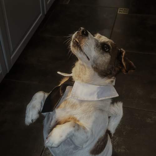 Photo #11571428