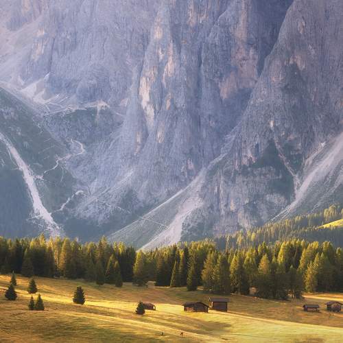 Photo #11571747